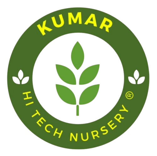 Kumar Hitech Nursery